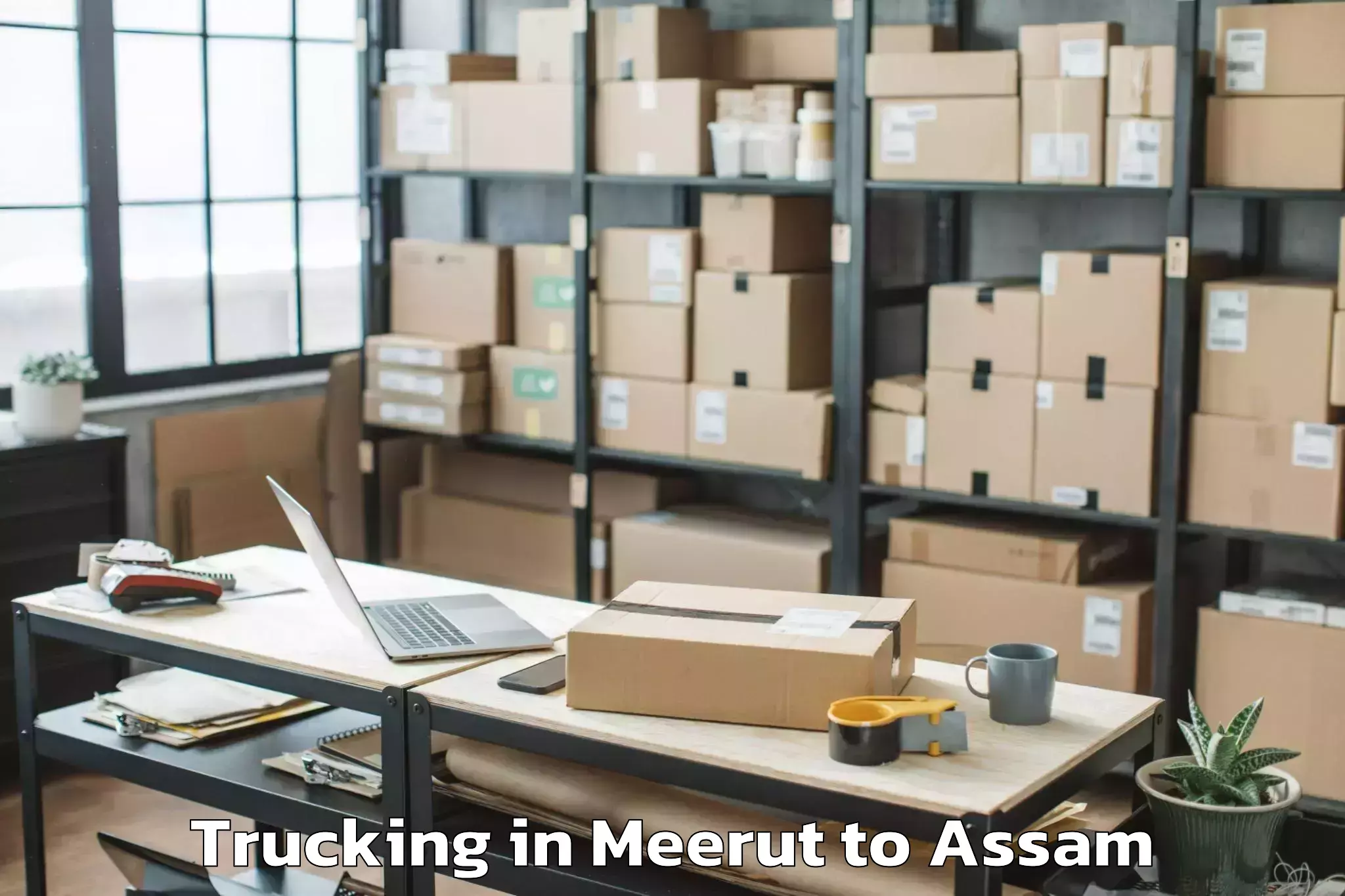 Book Meerut to Dubi Trucking Online